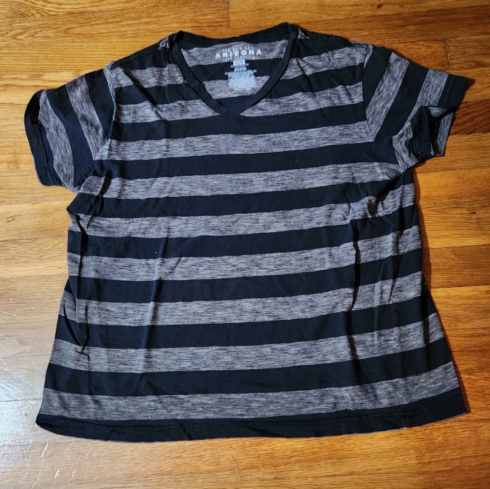 Arizona Men's V Neck Tshirt